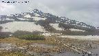 area1-20250520140020.jpg