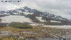 area1-20250520141019.jpg