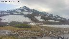 area1-20250520152019.jpg
