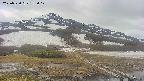 area1-20250520153018.jpg