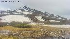 area1-20250520162017.jpg