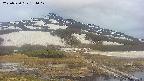 area1-20250520181018.jpg