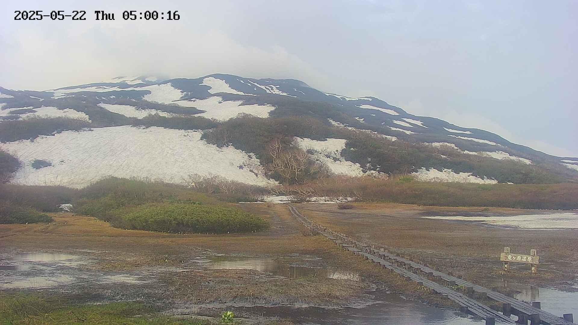 area1-20250522050017.jpg