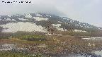 area1-20250522060022.jpg