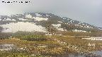 area1-20250522071019.jpg