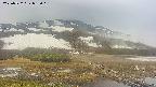 area1-20250522082019.jpg