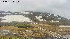 area1-20250522110021.jpg