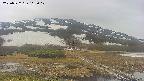 area1-20250522112018.jpg