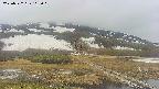 area1-20250522115020.jpg