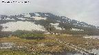 area1-20250522124016.jpg