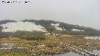 area1-20250522131018.jpg