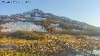area1-20250522175020.jpg