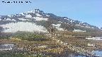 area1-20250523070018.jpg
