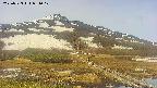 area1-20250523081018.jpg