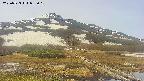 area1-20250523085019.jpg