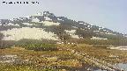 area1-20250523090018.jpg