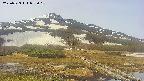 area1-20250523092019.jpg