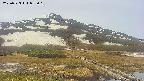 area1-20250523095016.jpg
