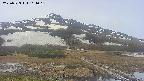 area1-20250523101016.jpg