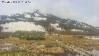 area1-20250523103018.jpg