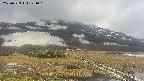 area1-20250523124016.jpg