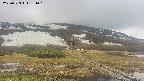 area1-20250523134016.jpg