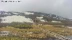 area1-20250523140017.jpg