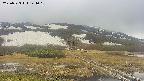 area1-20250523144019.jpg