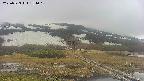 area1-20250523151017.jpg