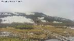 area1-20250523161017.jpg
