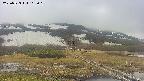 area1-20250523162019.jpg