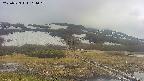 area1-20250523164017.jpg