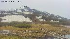 area1-20250523172019.jpg