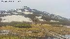 area1-20250523173019.jpg