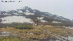 area1-20250523182020.jpg
