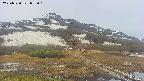 area1-20250524055018.jpg