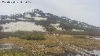 area1-20250524072019.jpg