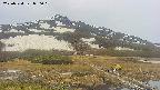 area1-20250524090020.jpg