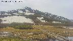 area1-20250524092018.jpg
