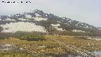 area1-20250524093018.jpg