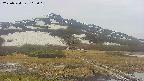 area1-20250524105019.jpg