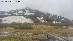 area1-20250524124021.jpg