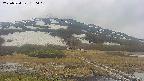 area1-20250524130020.jpg
