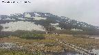 area1-20250524131019.jpg