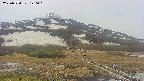 area1-20250524140021.jpg