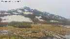 area1-20250524144020.jpg
