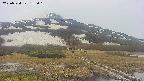 area1-20250524153020.jpg