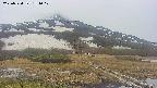area1-20250524154019.jpg