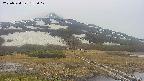 area1-20250524155018.jpg