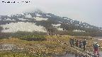 area1-20250524160017.jpg
